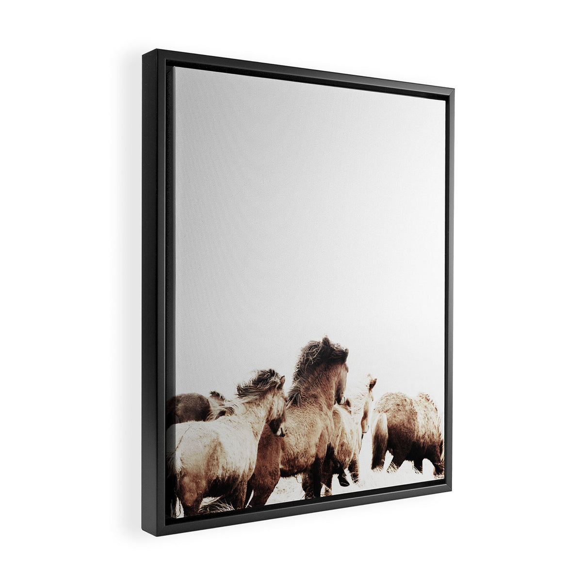 WILD AND FREE 2 - HORSES OF ICELAND Framed Canvas Print Gallery Image 2