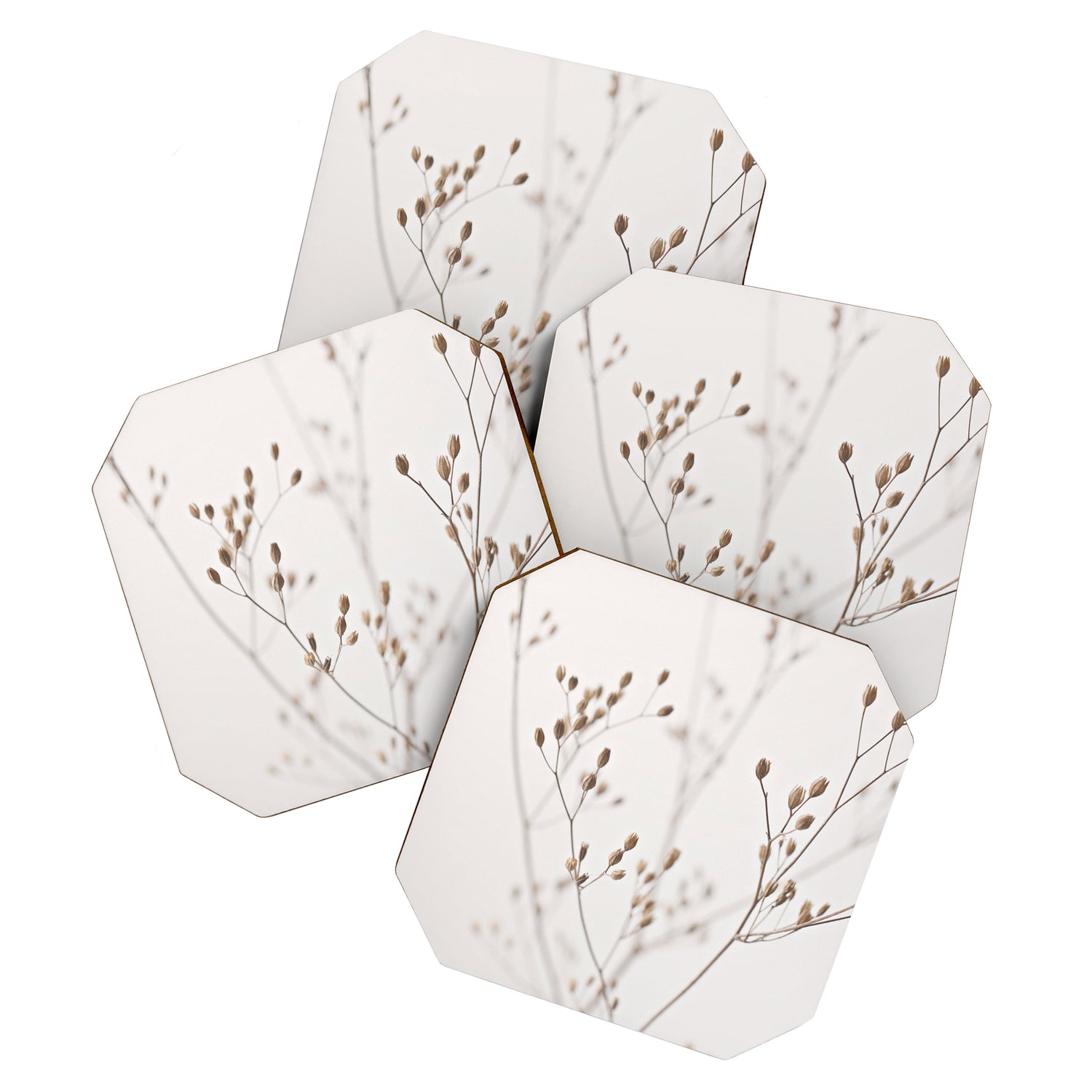 WILDFLOWERS NATURAL BEIGE 1 Coaster Gallery Image 1