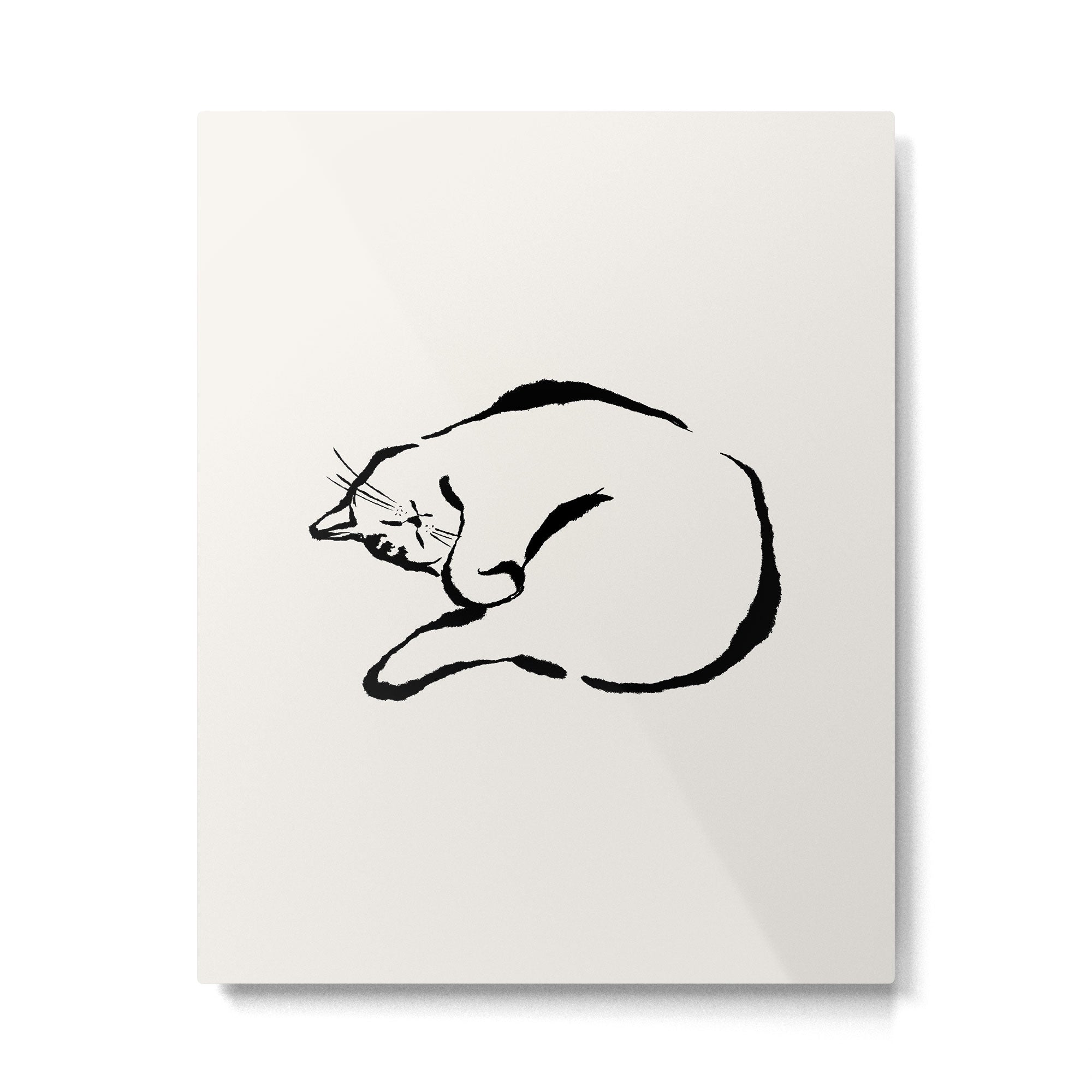 Sleeping Cat Metal Print Gallery Image 6