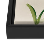 Plants In Summer Beige. Framed Canvas Print Gallery Image 3