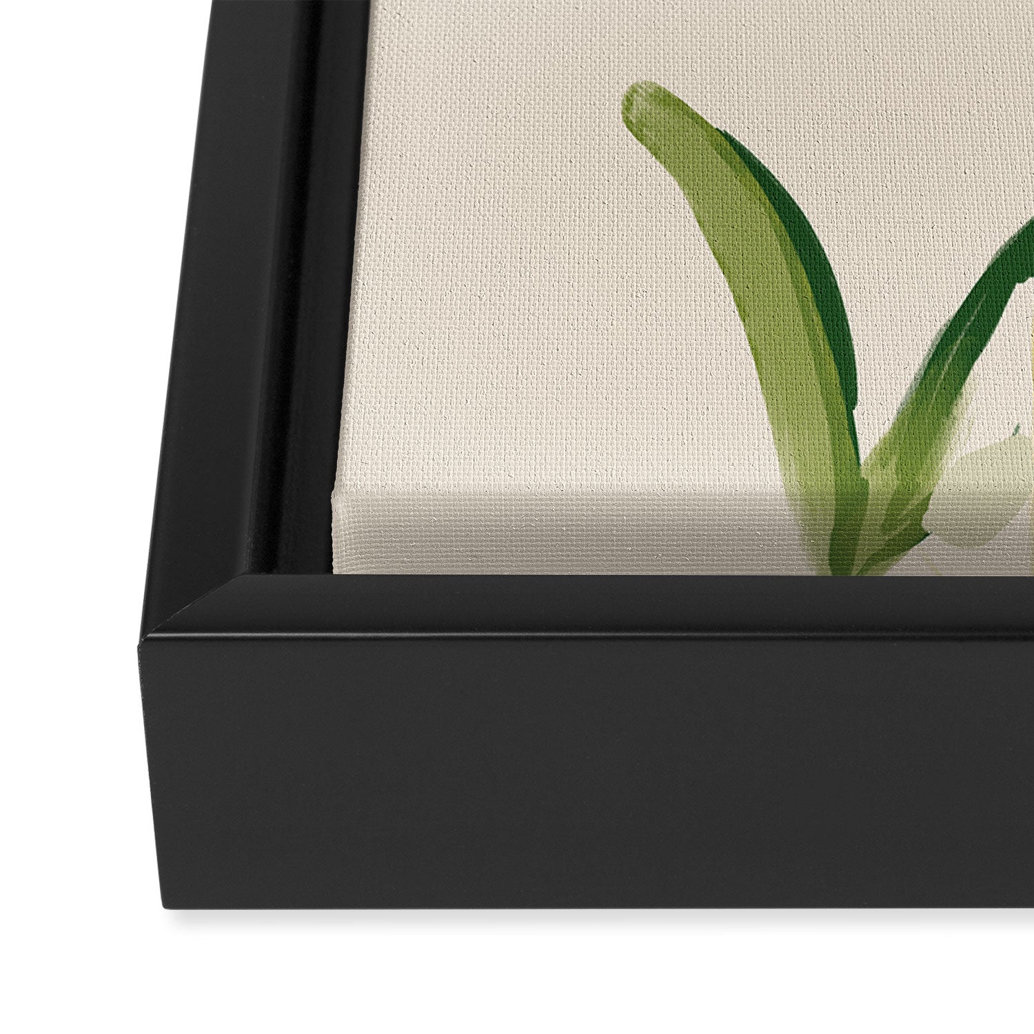 Plants In Summer Beige. Framed Canvas Print Gallery Image 3