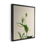 Plants In Summer Beige. Framed Canvas Print Gallery Image 2