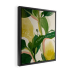 Slow Steady Growth Framed Canvas Print Gallery Image 2