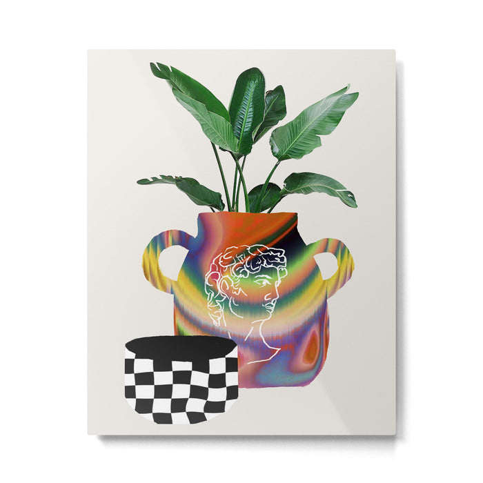 A house plant / Still life Metal Print Gallery Image 1