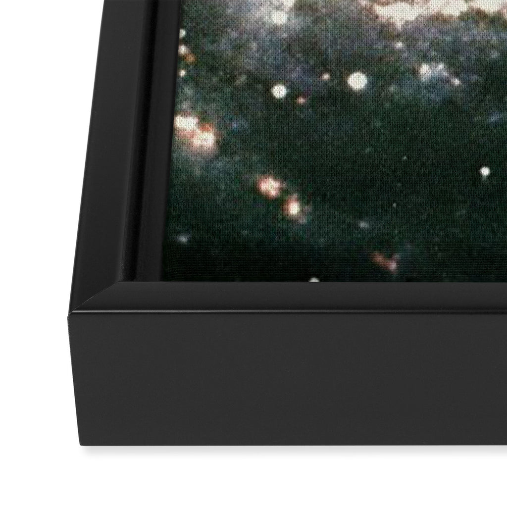 A Place for Us Framed Canvas Print Gallery Image 3