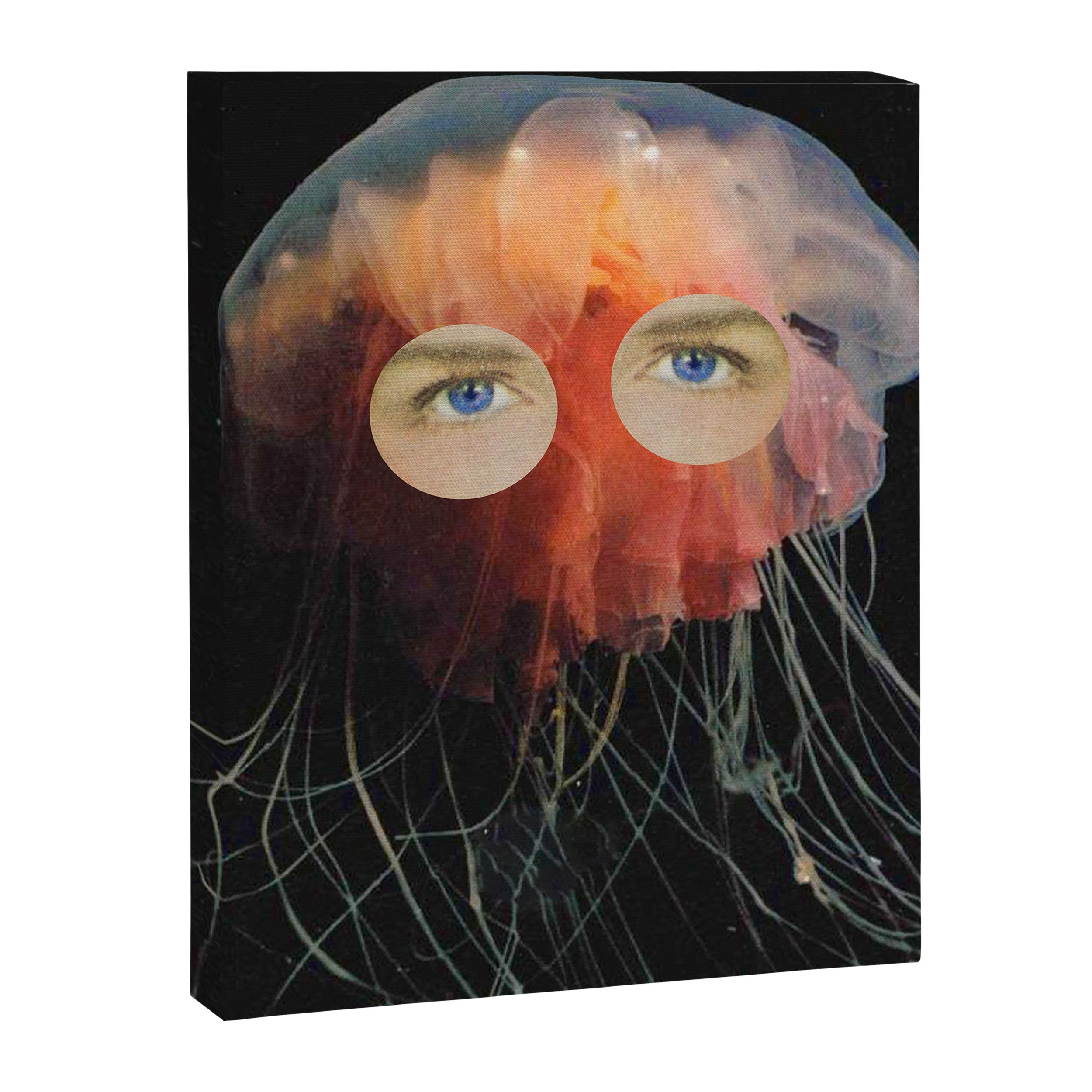 A (very) Jelly Fish Canvas Print Gallery Image 8