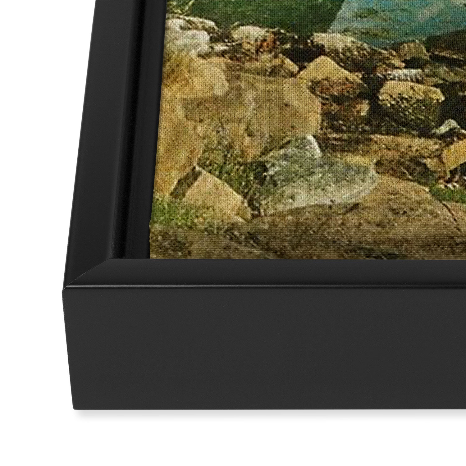 Alien Escapade Framed Canvas Print Gallery Image 3