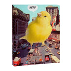 Canary in the City Canvas Print Gallery Image 6