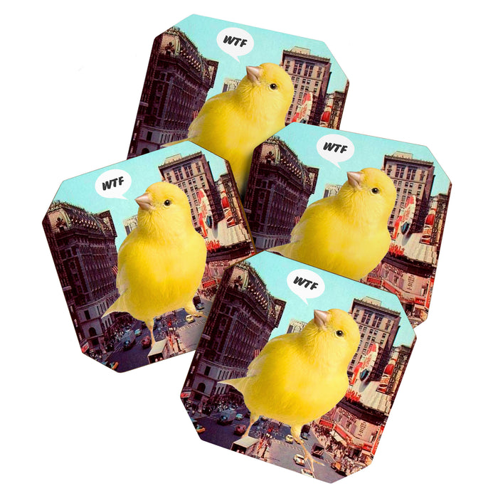 Canary in the City Coaster Gallery Image 1