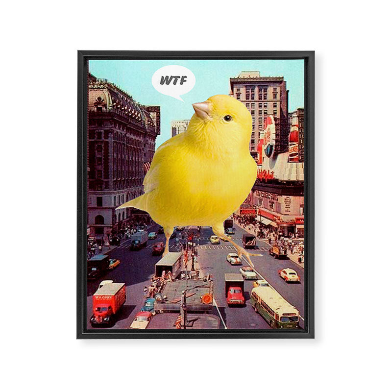 Canary in the City Framed Canvas Print Gallery Image 6
