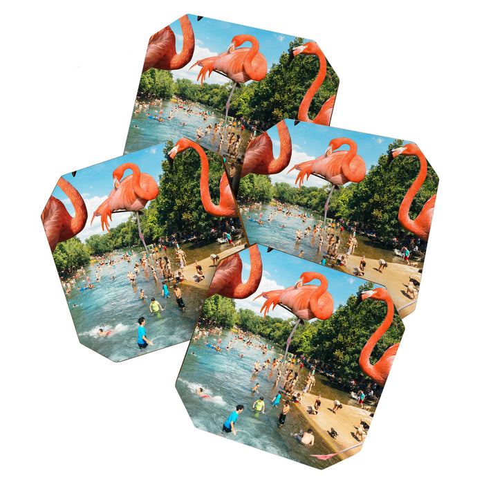 Flamingo Shore Coaster Gallery Image 1