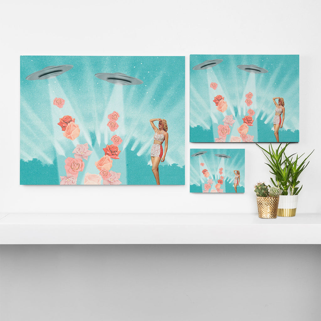 Flower Power // Spring is coming Canvas Print Gallery Image 3