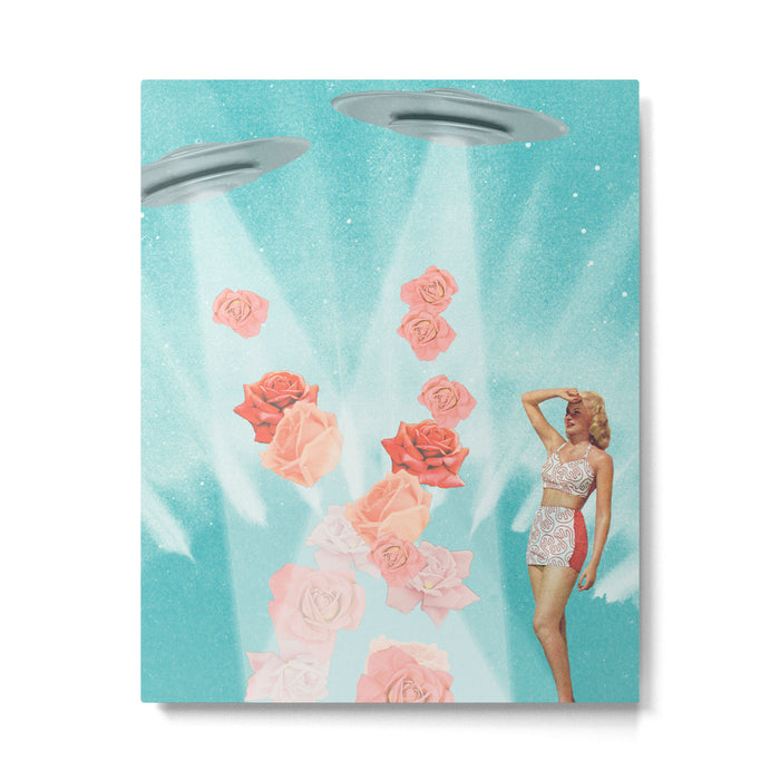 Flower Power // Spring is coming Metal Print Gallery Image 1