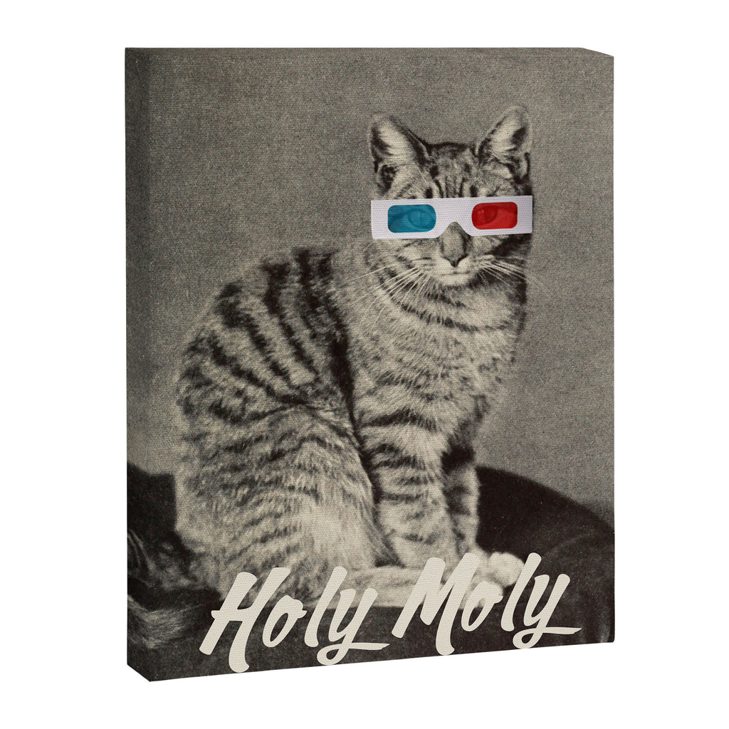 Holy Moly cat Canvas Print Gallery Image 6