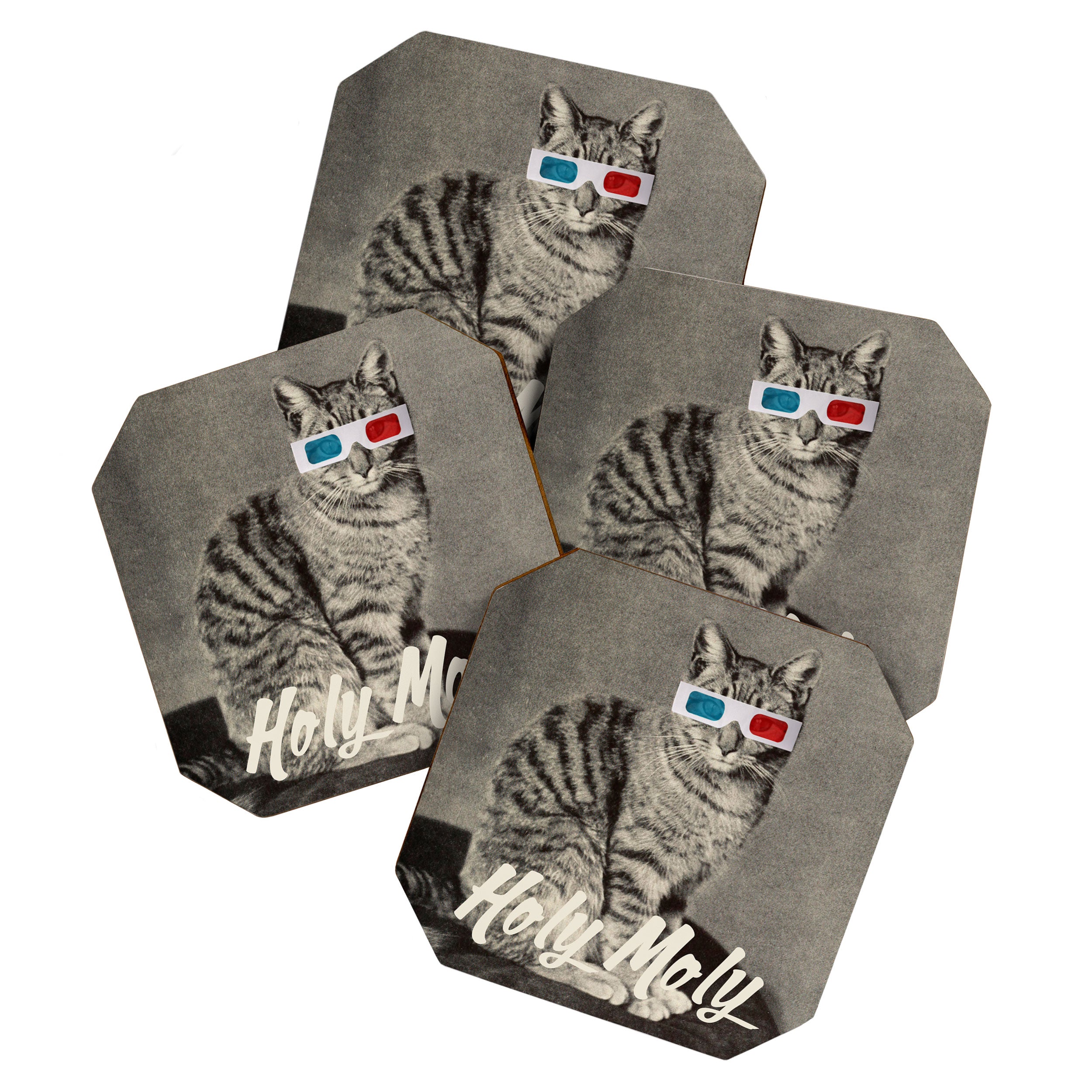 Holy Moly cat Coaster Gallery Image 1