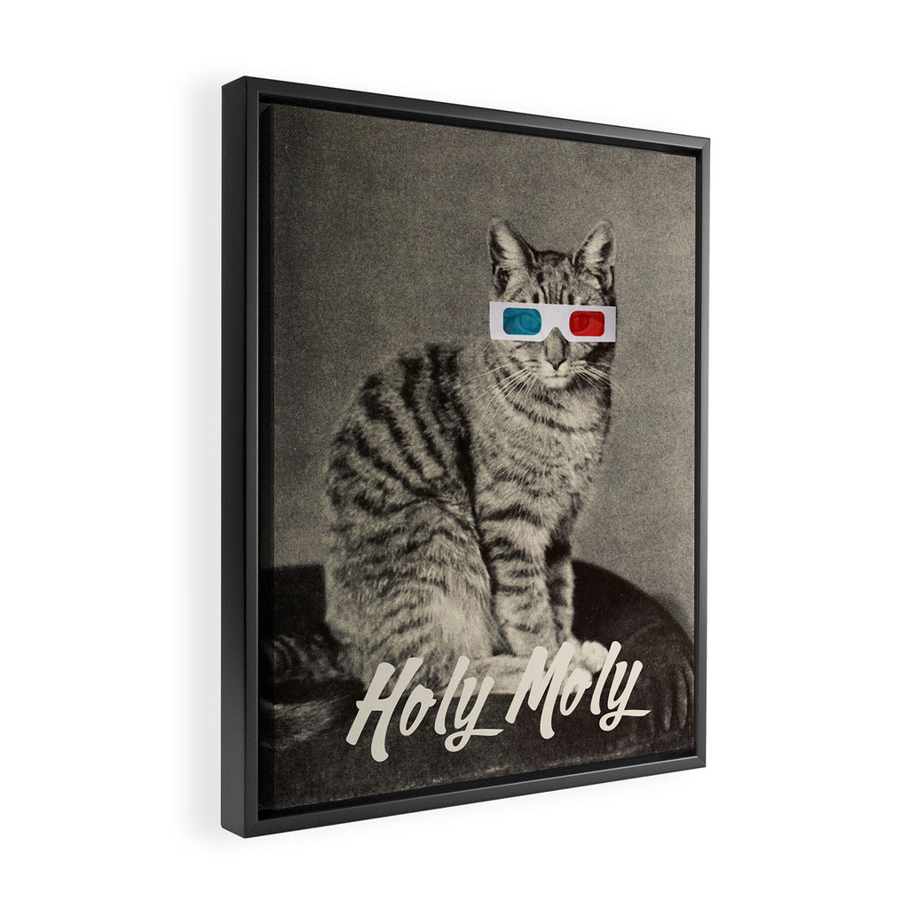 Holy Moly cat Framed Canvas Print Gallery Image 2