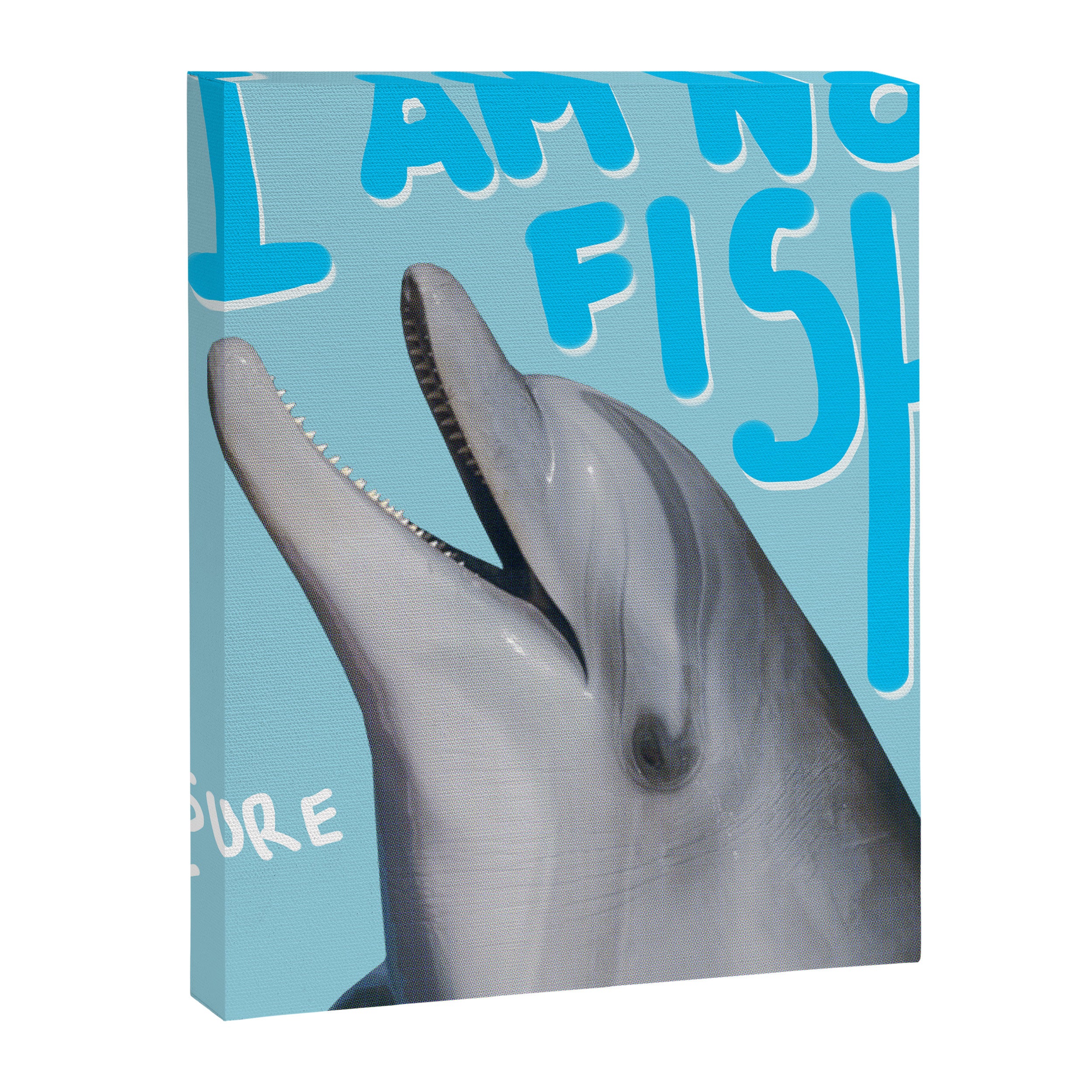 I am no fish Canvas Print Gallery Image 6