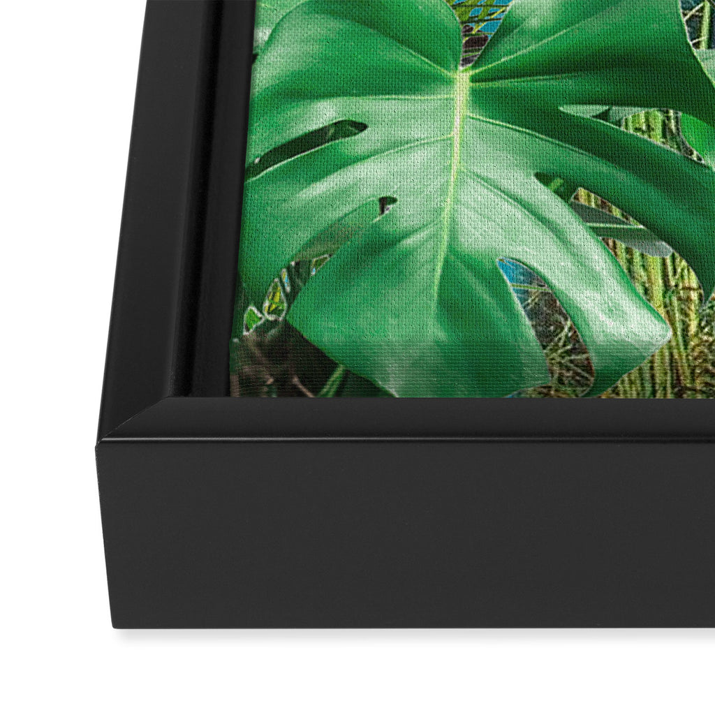 Jane of the Jungle Framed Canvas Print Gallery Image 3