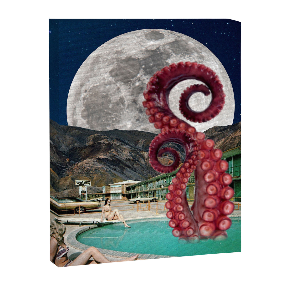 Octopus in the pool Canvas Print Gallery Image 6