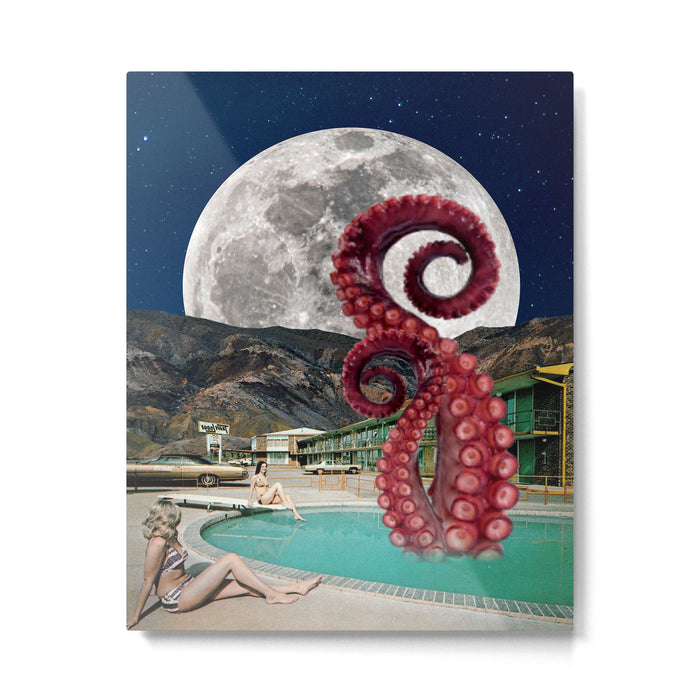 Octopus in the pool Metal Print Gallery Image 1