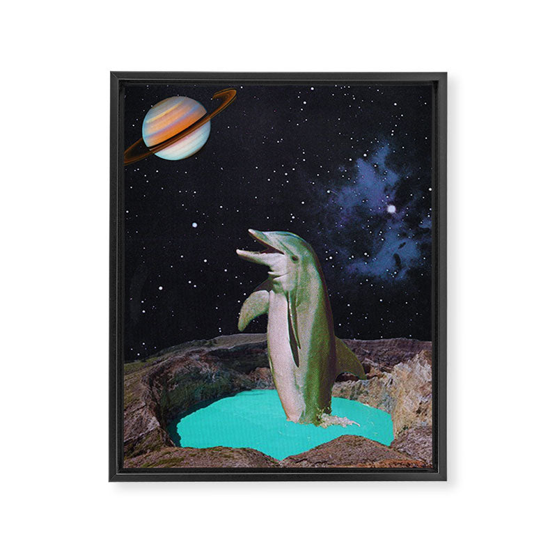 Planet Dolphin Framed Canvas Print Gallery Image 6