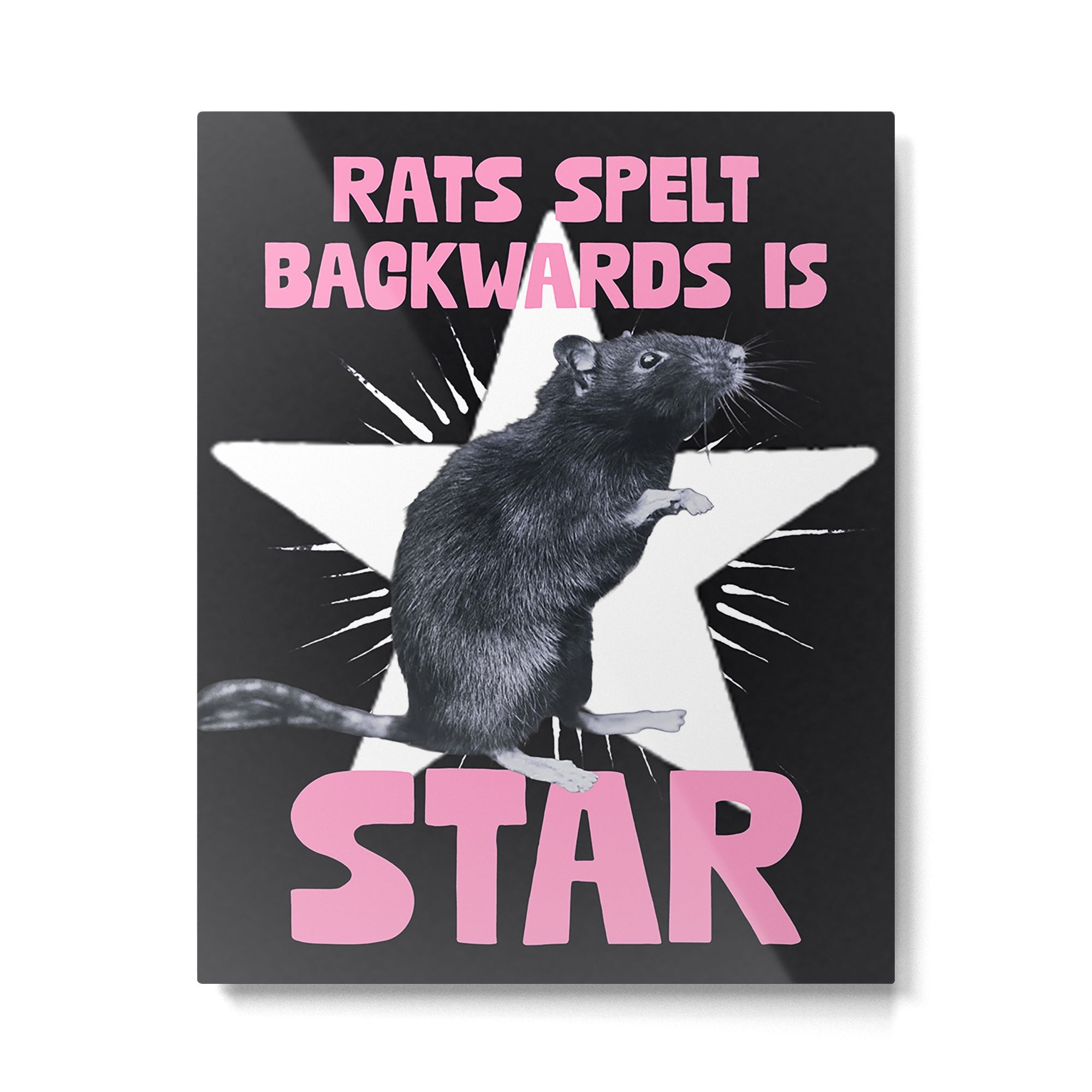 Rats spelt backwards is STAR Metal Print Gallery Image 4