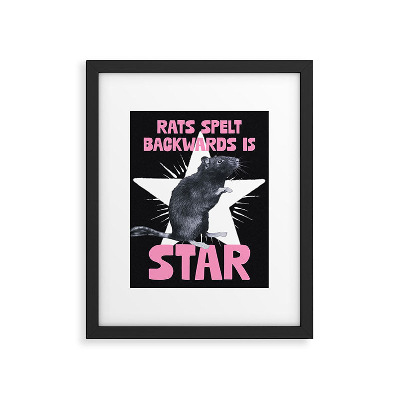Rats spelt backwards is STAR Framed Art Print Gallery Image 5