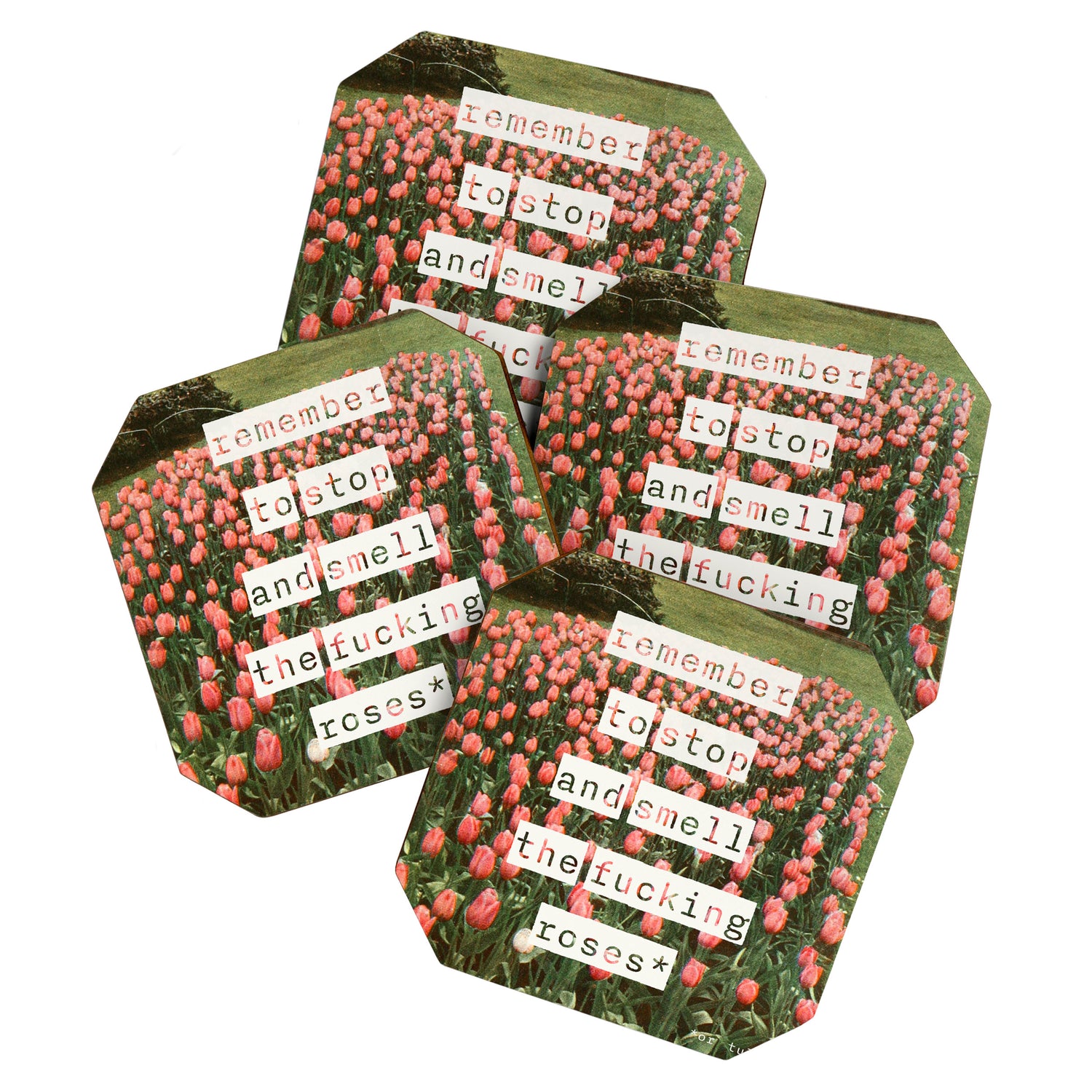 Remember to stop and smell the roses Coaster Gallery Image 1