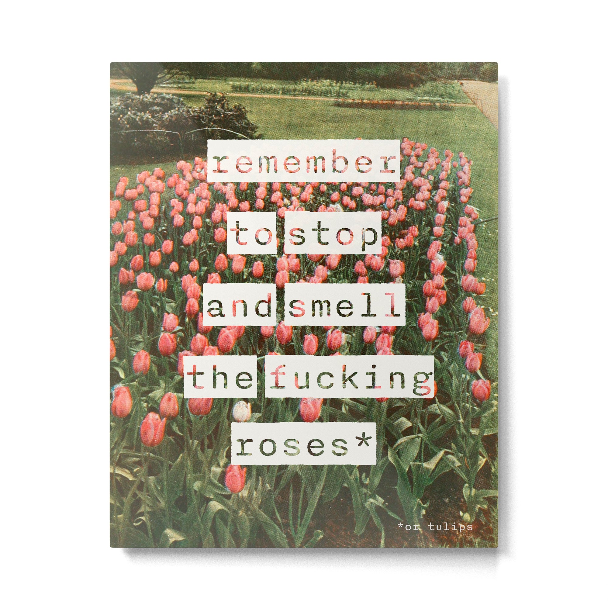 Remember to stop and smell the roses Metal Print Gallery Image 4