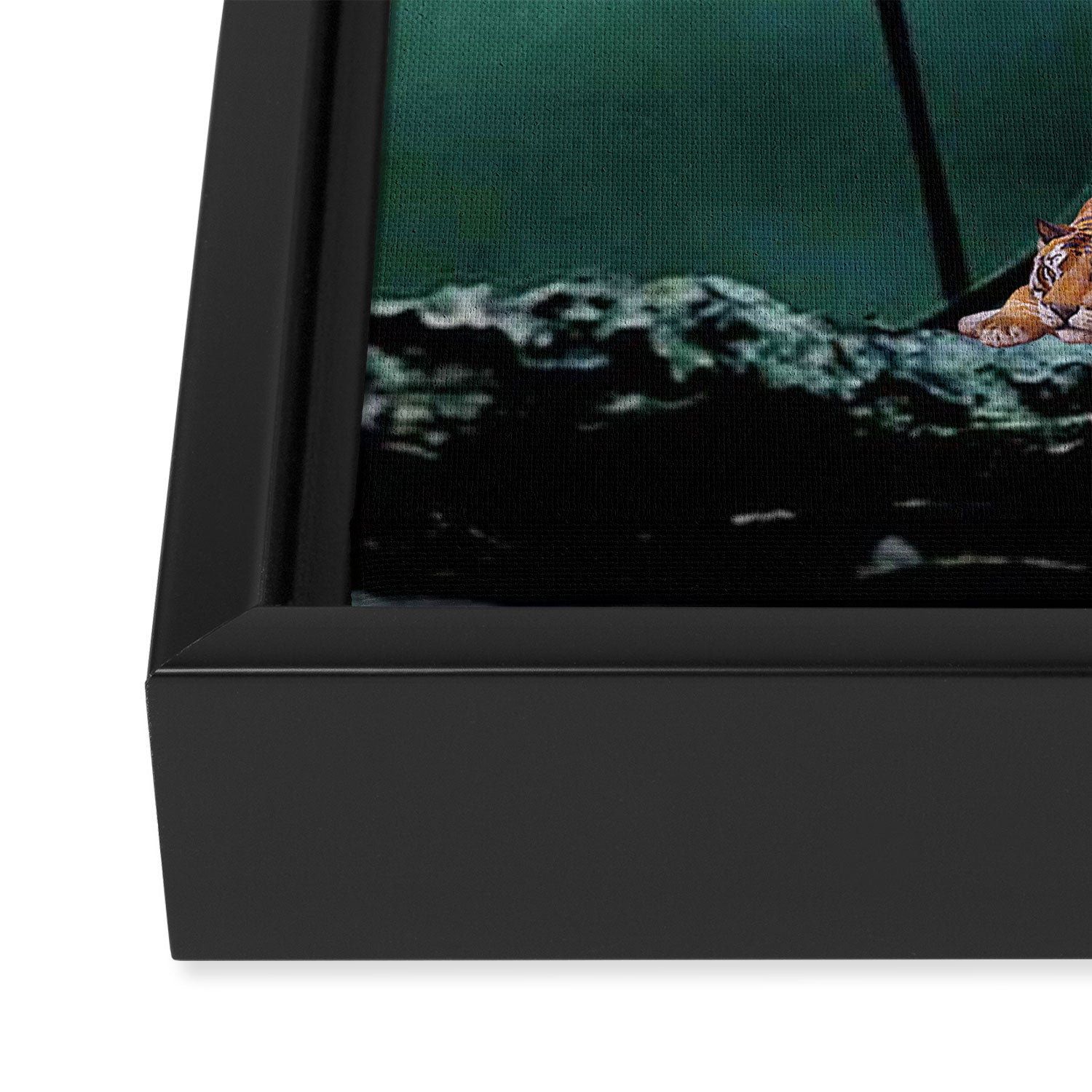 Resting Tigers Framed Canvas Print Gallery Image 3