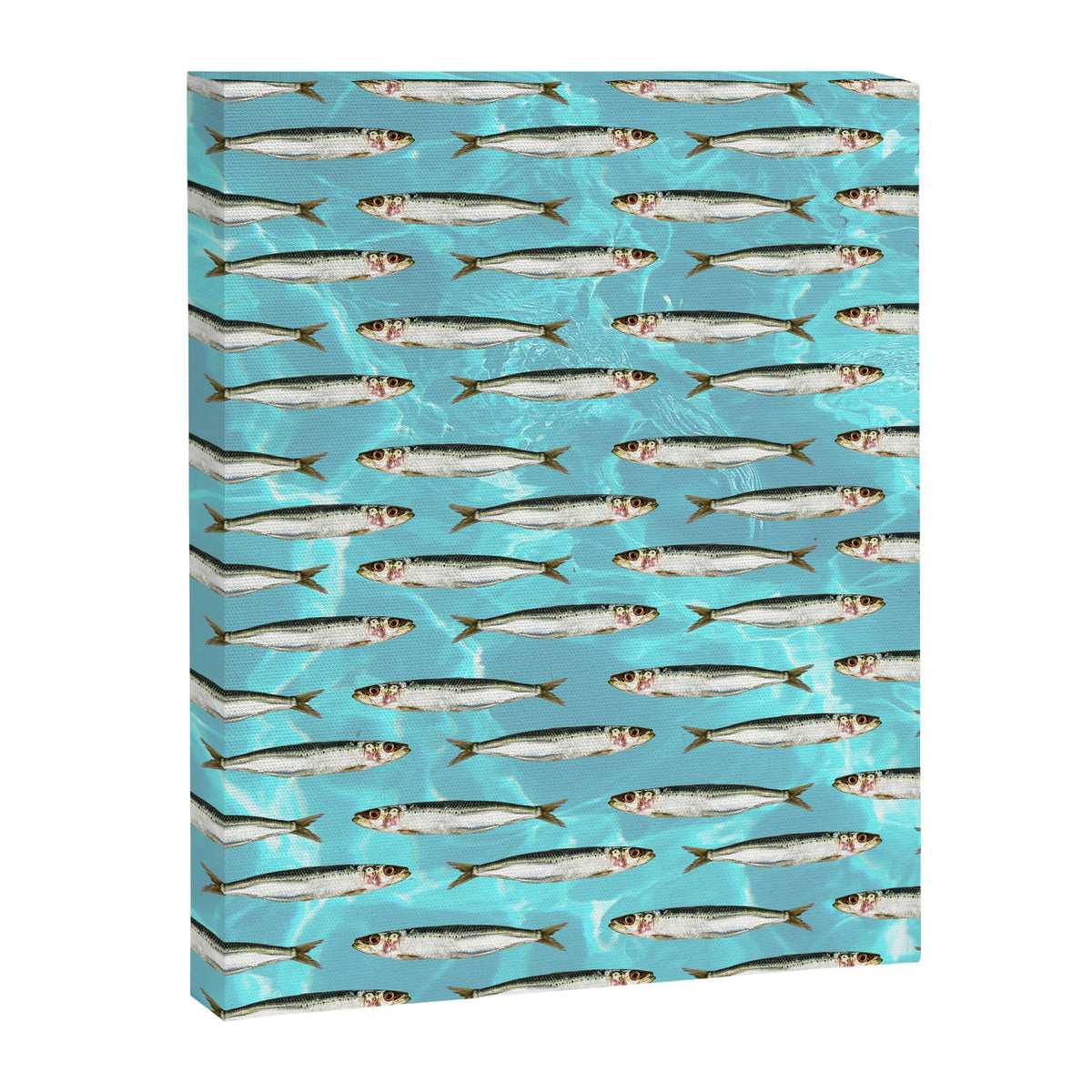 Sardines in the pool Canvas Print Gallery Image 6