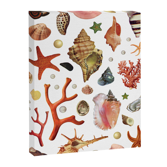 Shell collection Canvas Print Gallery Image 1