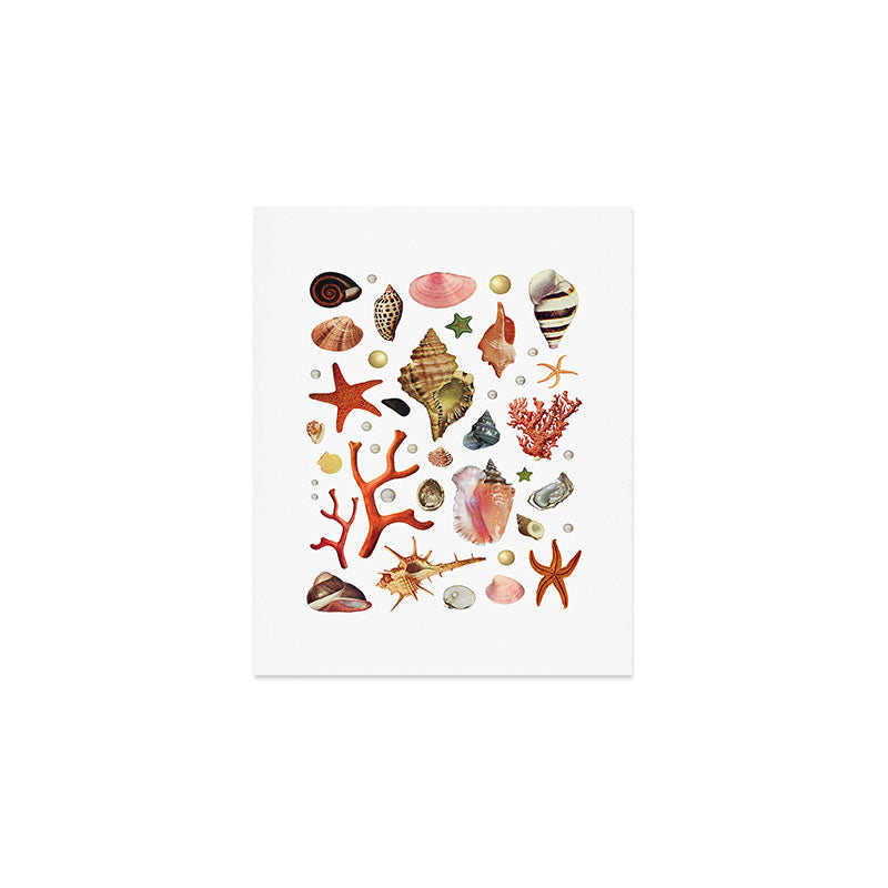 Shell collection Art Print Gallery Image 1