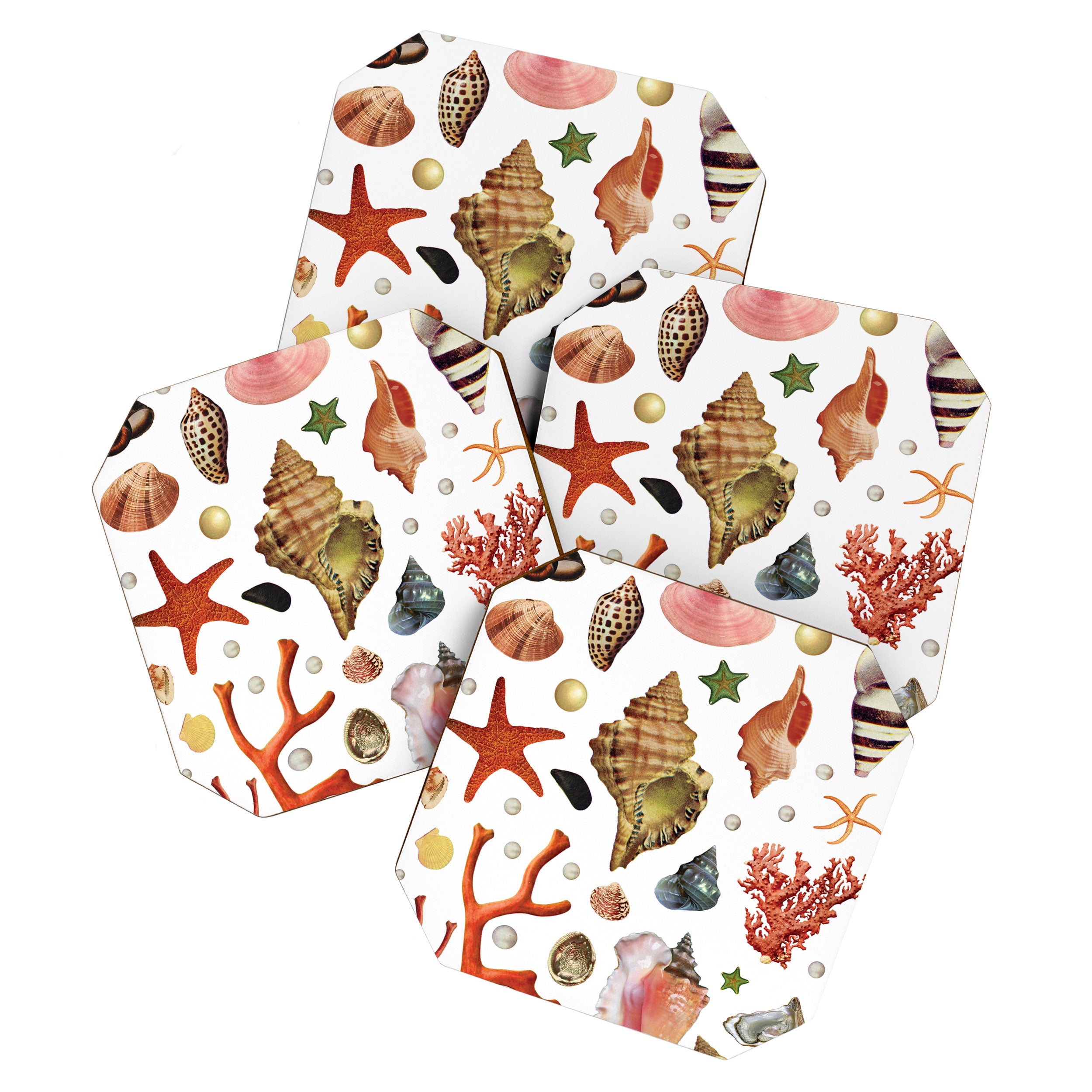 Shell collection Coaster Gallery Image 1