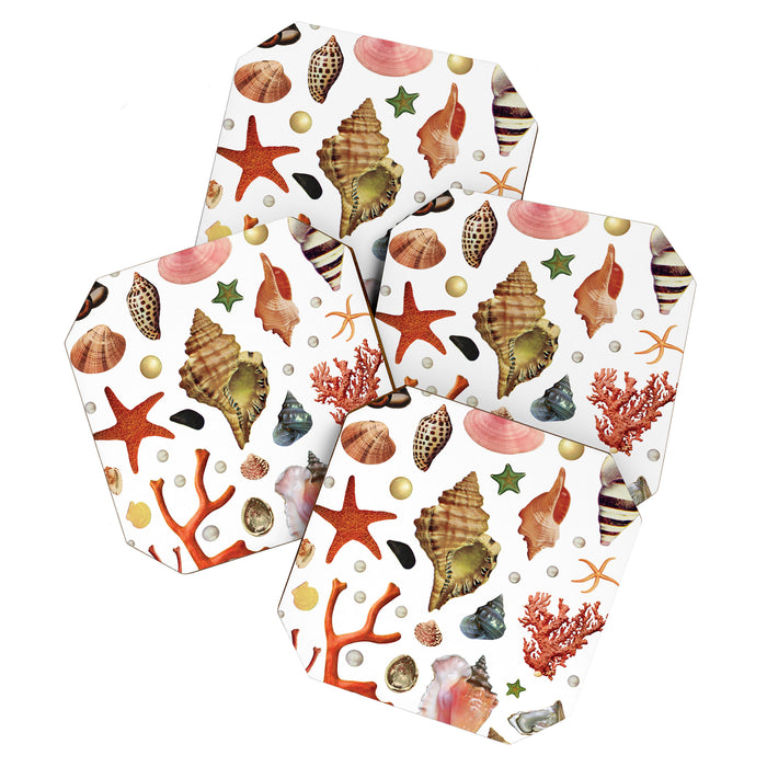 Shell collection Coaster Gallery Image 1