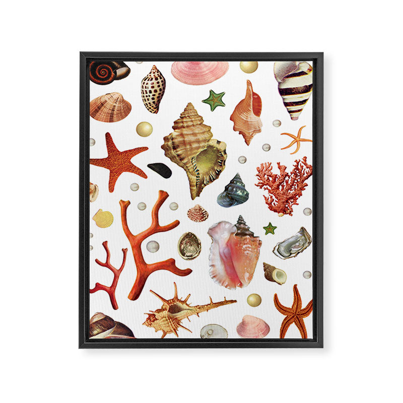 Shell collection Framed Canvas Print Gallery Image 6