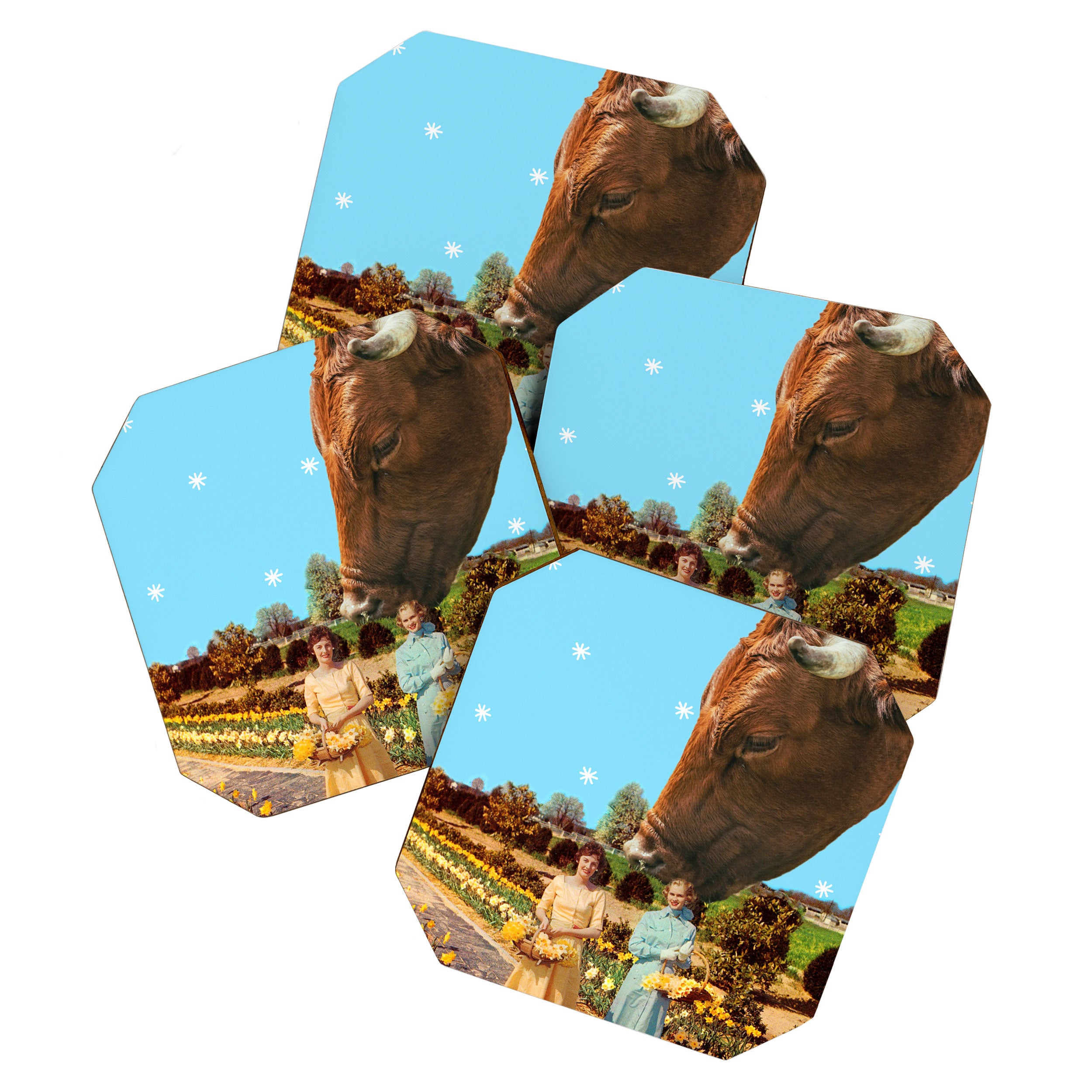 Spring Walk (Daffodils and Cows) Coaster Gallery Image 1
