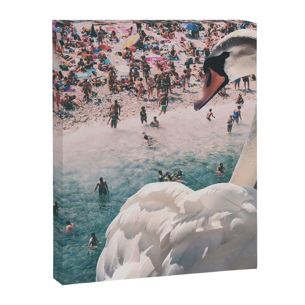 Swan on the Beach Canvas Print Gallery Image 6