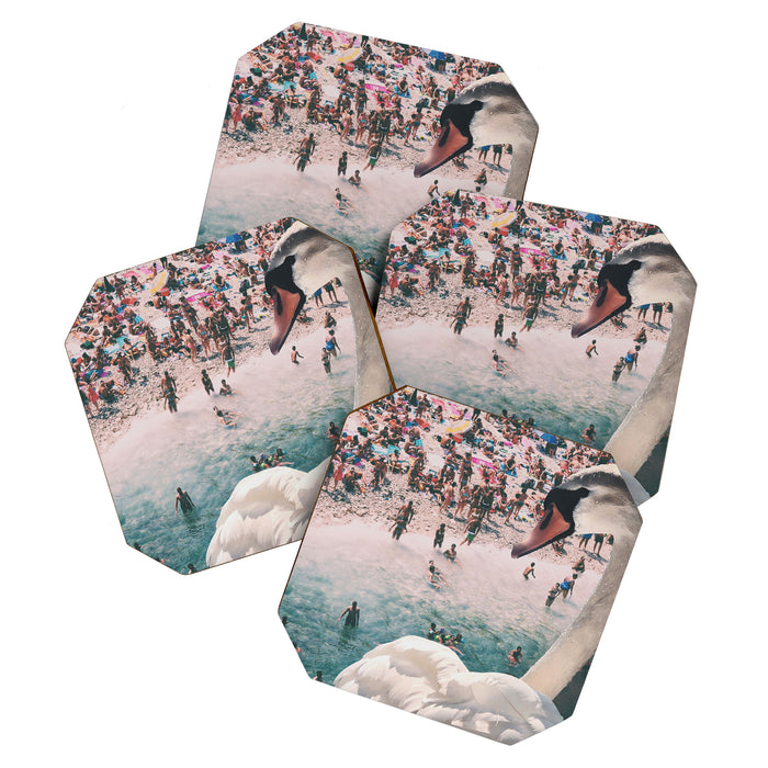 Swan on the Beach Coaster Gallery Image 1