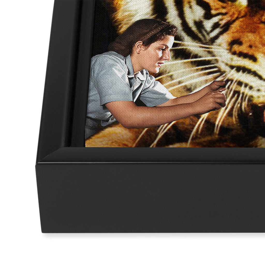 The Making of a Tiger Framed Canvas Print Gallery Image 3
