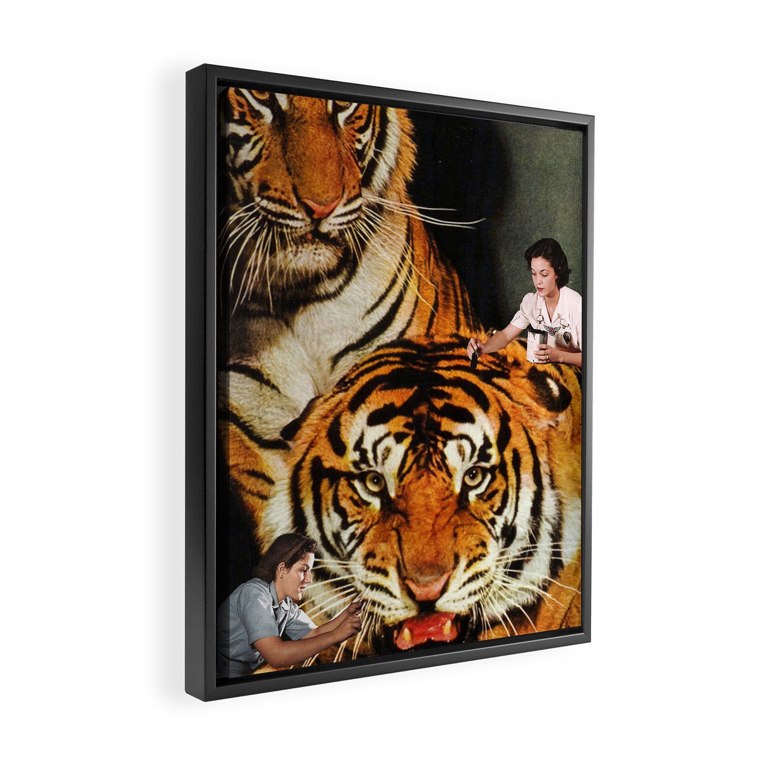 The Making of a Tiger Framed Canvas Print Gallery Image 2