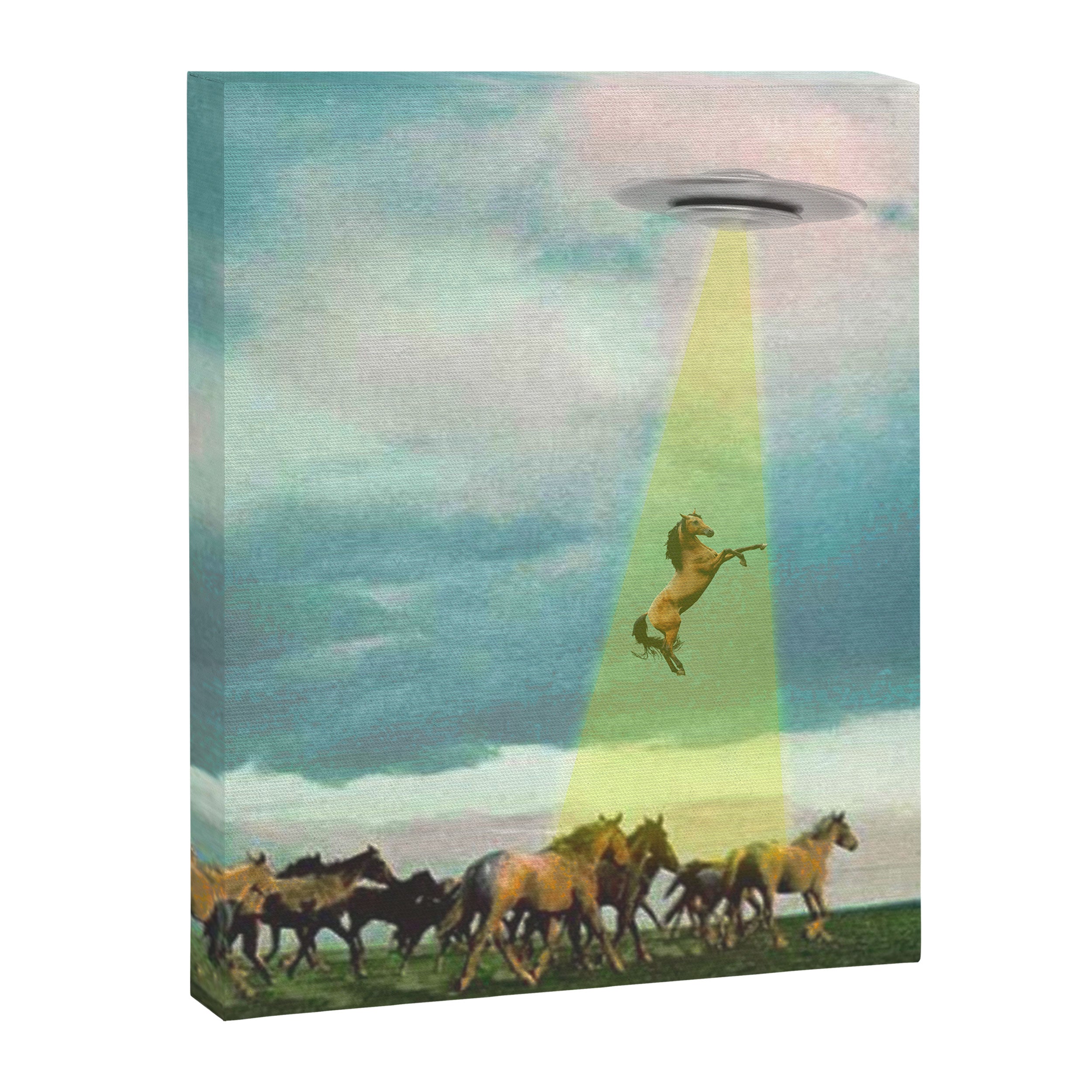 They too love horses (UFO) Canvas Print Gallery Image 6