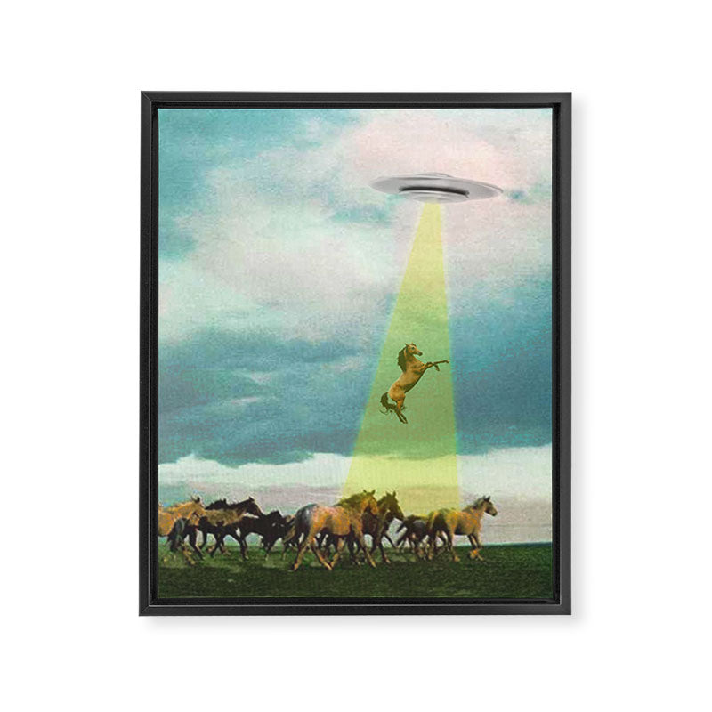 They too love horses (UFO) Framed Canvas Print Gallery Image 6