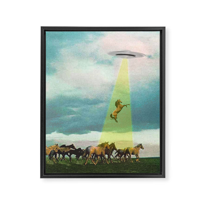They too love horses (UFO) Framed Canvas Print Gallery Image 1