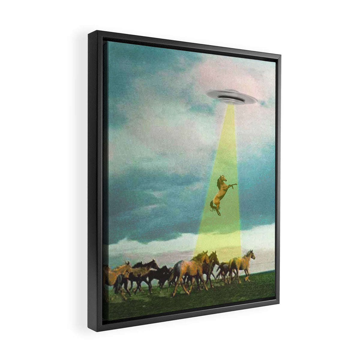 They too love horses (UFO) Framed Canvas Print Gallery Image 2