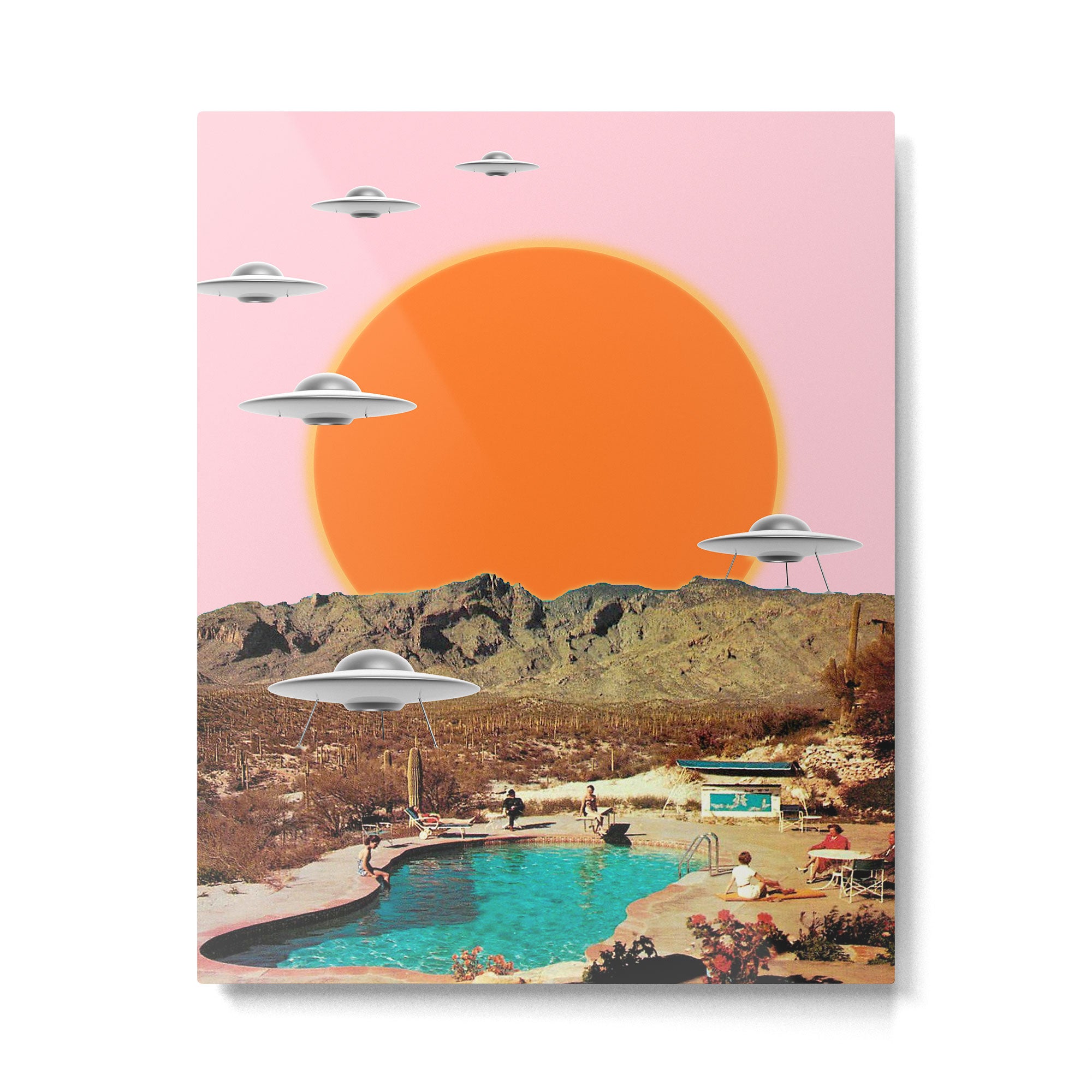They've arrived! (Square) Metal Print Gallery Image 6