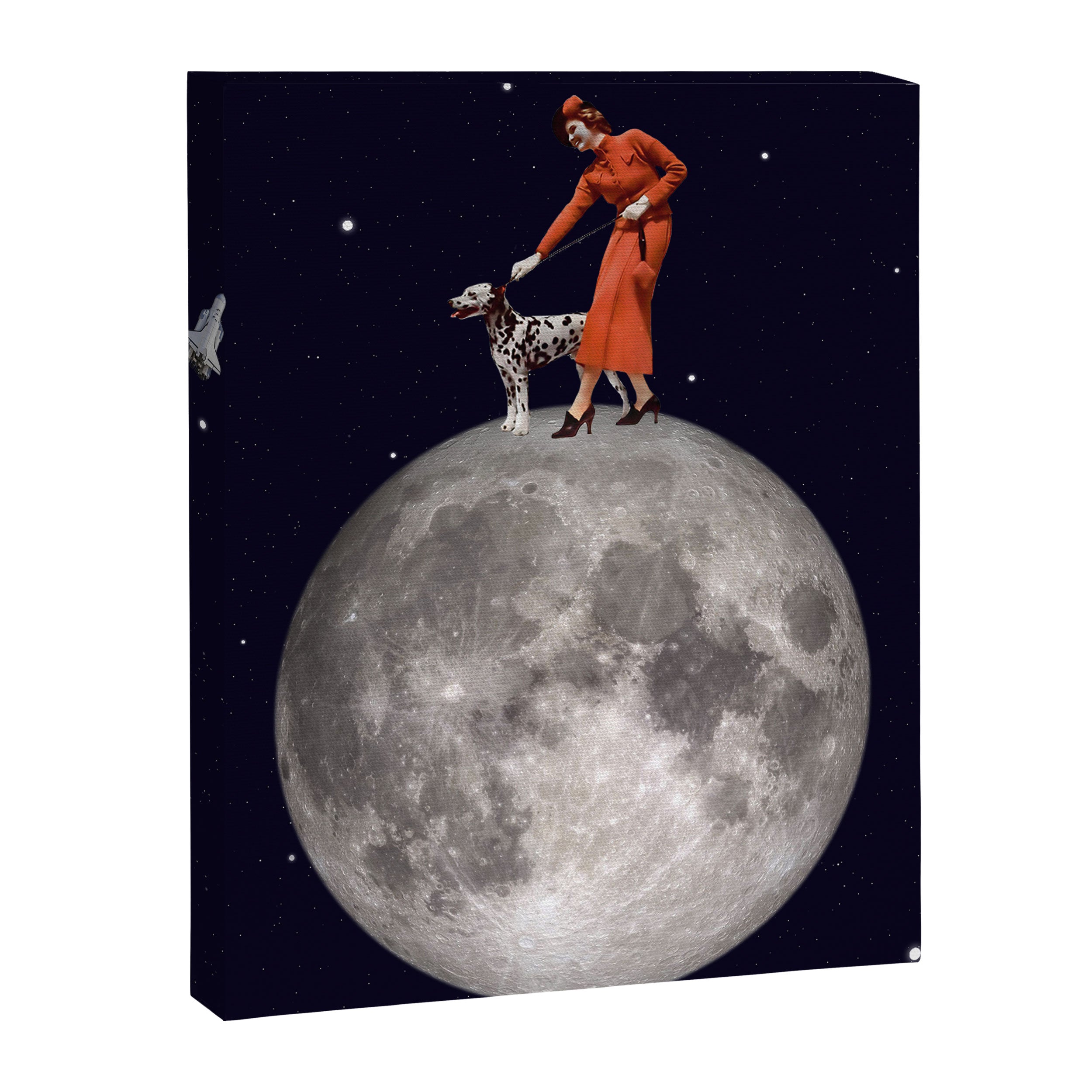 Walking the Dog // The Rocket Canvas Print Gallery Image 8