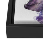 The queen of universe. Framed Canvas Print Gallery Image 3