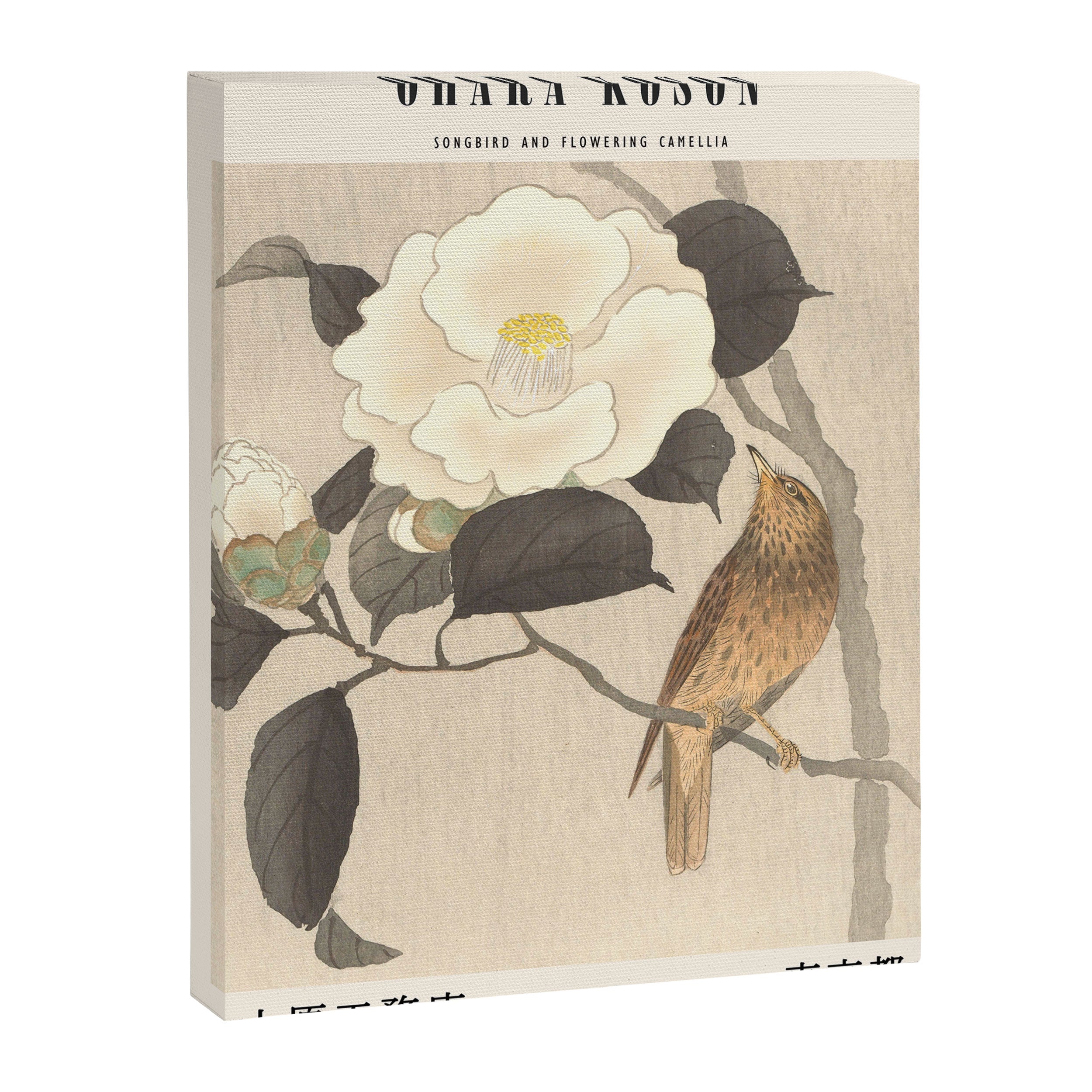 Ohara Koson-Songbird and flowering camellia Canvas Print Gallery Image 6