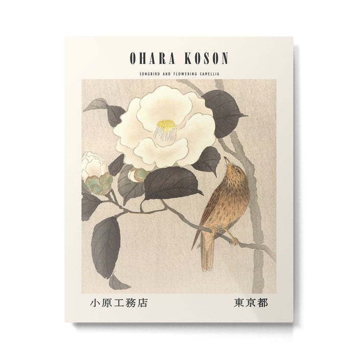 Ohara Koson-Songbird and flowering camellia Metal Print Gallery Image 1